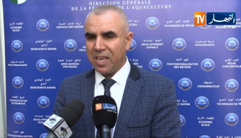 شريف قادري: إنطلاق مشروع خاص بتربية الجمبري في الأحواض بولاية بومرداس