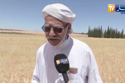 تيارت: أسعار الشعير تلقي بظلالها على واقع الفلاح والموال وأضحية هذه السنة