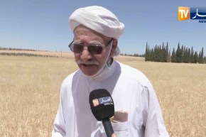 تيارت: أسعار الشعير تلقي بظلالها على واقع الفلاح والموال وأضحية هذه السنة