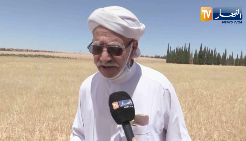 تيارت: أسعار الشعير تلقي بظلالها على واقع الفلاح والموال وأضحية هذه السنة
