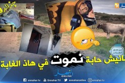 من عمق الجزائر: عائلة أبنائها معاقين تعاني الويلات في بيت آيل للسقوط في أي لحظة بأعالي جيجل