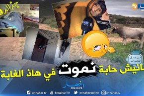 من عمق الجزائر: عائلة أبنائها معاقين تعاني الويلات في بيت آيل للسقوط في أي لحظة بأعالي جيجل