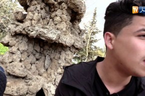 فن: أصوات صغيرة.. تقدم نوع “الكوفر” عبر مواقع التواصل الإجتماعي