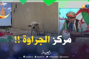 الكارثة..مركز رياضي يدرّب الكلاب في الشلف ..جماعة الرّياضة هاابطين !!