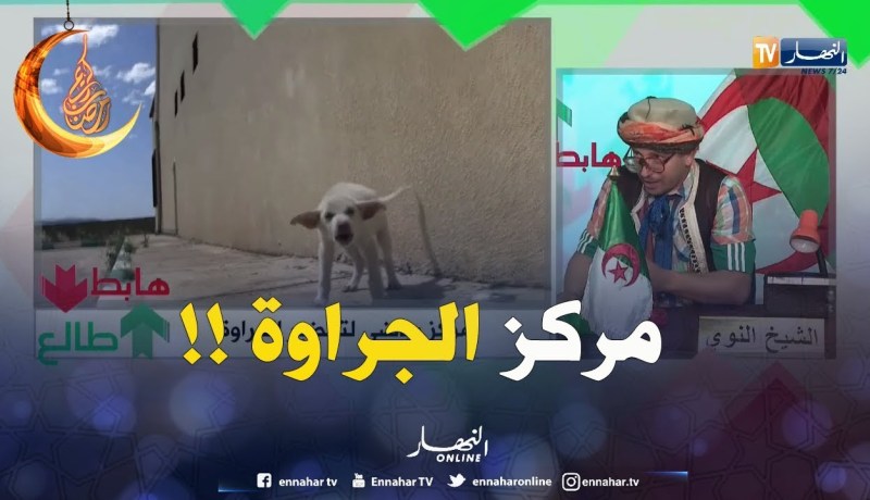 الكارثة..مركز رياضي يدرّب الكلاب في الشلف ..جماعة الرّياضة هاابطين !!
