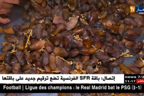 تجارة: مستثمرون من الجنوب ..”التصدير وهم، وأمامنا الكثير لتطويره”