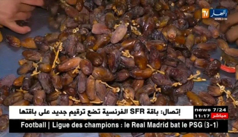 تجارة: مستثمرون من الجنوب ..”التصدير وهم، وأمامنا الكثير لتطويره”