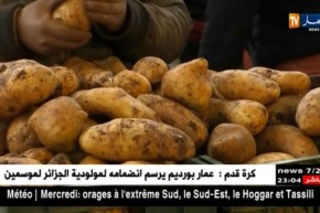 وزارة الفلاحة: منتوجات الجزائر عالية الجودة والخلل يتعلق بشروط الحفظ لدى المصدرين