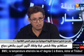 هل من تدابير لحماية الثروة الحيوانية من مرض الحمى القلاعية … ؟