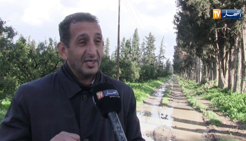 فلاحة: الإضطرابات الجوية تعرقل جني محصول الحمضيات