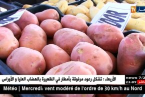 قضية إرجاع المنتوجات الفلاحية.. بعيون نواب الشعب