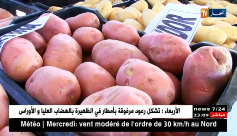 قضية إرجاع المنتوجات الفلاحية.. بعيون نواب الشعب