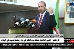 وزير الثقافة يدعو الجالية الجزائرية الإستثمار في المجال الثقافي