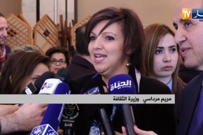 حكومة: وزيرة الثقافة تثير زوبعة على الفضاء الأزرق