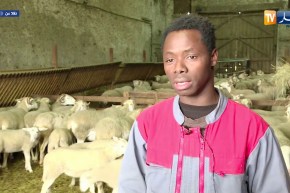 فرنسا: كيكوتا.. من لاجئ مالي إلى مشارك في مسابقة رعاة الغنم