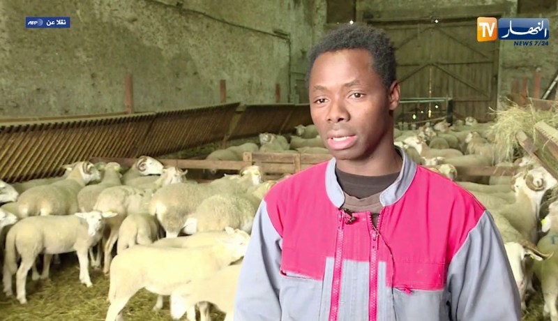 فرنسا: كيكوتا.. من لاجئ مالي إلى مشارك في مسابقة رعاة الغنم