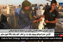 تندوف: تنوع في سلالات الأضاحي و تباين في أسعارها بأسواق المواشي