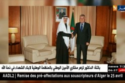 طاقة: قيطوني يبحث سبل التعاون الطاقوي مع سفير البحرين واليابان بالجزائر