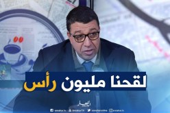 مدير المصالح البيطرية بوزارة الفلاحة : ” لقحنا مليون رأس ضد الحمى القلاعية والفلاحين قد تمّ تعويضهم”