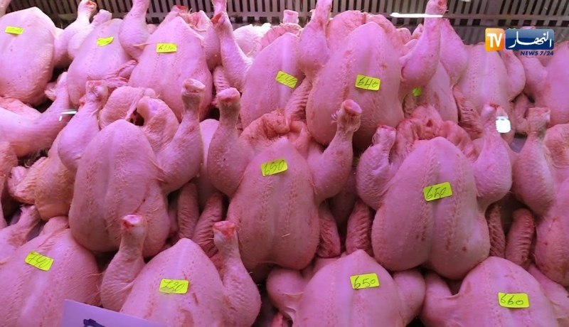 سيارات: before service.. هيونداي GMI ترافق زبائنها المهنيين في التكوين والصيانة