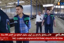 فلسطين: الدعم الجزائري.. إكتمال الإستعدادات لتوزيع الأضاحي على فقراء غزة