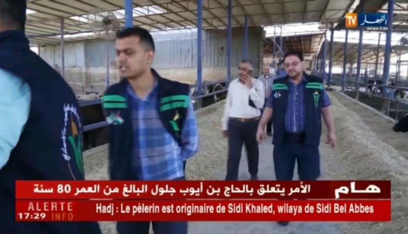 فلسطين: الدعم الجزائري.. إكتمال الإستعدادات لتوزيع الأضاحي على فقراء غزة