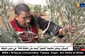 سعيدة: غياب الكهرباء الريفية يعيق النشاط الفلاحي بمنطقة سيدي بوعزة