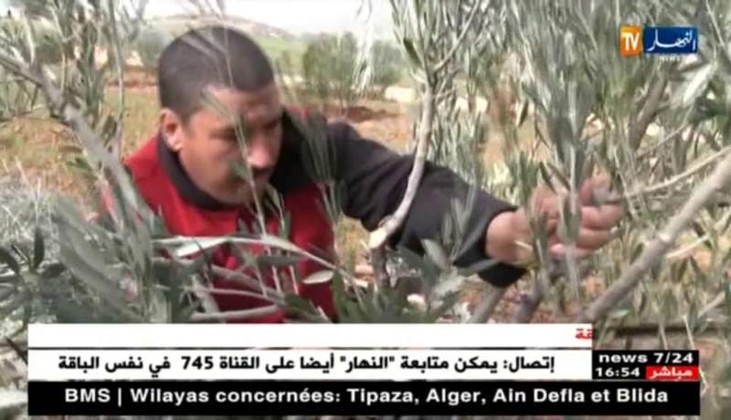 سعيدة: غياب الكهرباء الريفية يعيق النشاط الفلاحي بمنطقة سيدي بوعزة