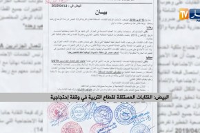 البيض: النقابات المستقلة لقطاع التربية في وقفة إحتجاجية