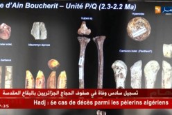 تاريخ: التنقيب الأثري.. يكشف عن فيلة ضخمة عاشت بالجزائر