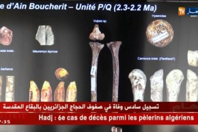 تاريخ: التنقيب الأثري.. يكشف عن فيلة ضخمة عاشت بالجزائر