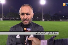 بلماضي: “القطريين عندهم مستوى ..وهدفنا قياس مدى جاهزية المحليين دوليا”