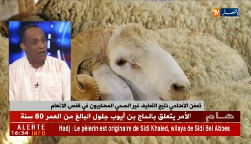 هذه هي الطرق السليمة لتعليف الأضاحي