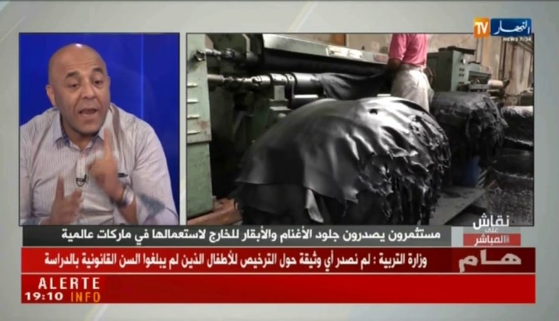 صحاب شركة لدباغة الجلود: هذا ما يمكن صنعه بجلود الأغنام والأبقار الجزائرية