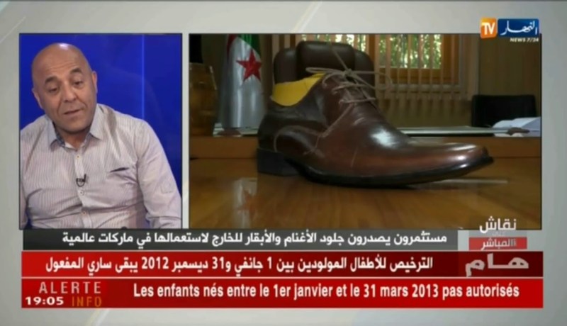 صاحب شركة لدباغة الجلود: درست 5 سنين في معهد لدباغة الجلود بفرنسا