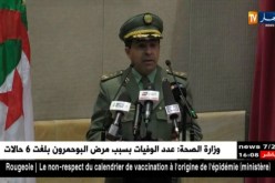 المتحف المركزي للجيش يحيى الذكرى 56 لعيد النصر