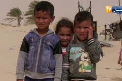 الوادي: 3 عائلات تتخذ من بقايا الخردوات مأوى لها