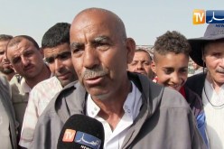 المسيلة:حركية بيع منعدمة بأسواق الماشية.. خسائر الموالين تتضاعف