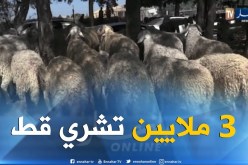 أضحى 2018: بورصة المواشي..3 ملايين لشراء “خروف” في ثوب “خط”