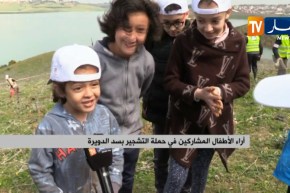 بيئة: حملة الأيادي الخضراء ..التشجير أولى خطوات التغيير