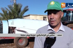 فلاحة: هكذا تجسد المزارع مخططاتها الإنتاجية أيام قبل موسم الجني