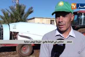 فلاحة: هكذا تجسد المزارع مخططاتها الإنتاجية أيام قبل موسم الجني