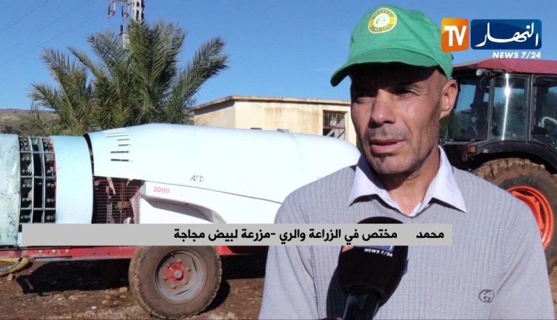 فلاحة: هكذا تجسد المزارع مخططاتها الإنتاجية أيام قبل موسم الجني