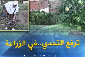 الطارف : الحاجة شبلة..فلاحة ترفع التحدي