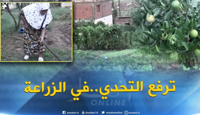 الطارف : الحاجة شبلة..فلاحة ترفع التحدي