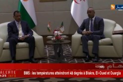 انعقاد اجتماع اللجنة الثنائية الحدودية الجزائرية النيجيرية