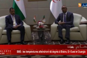 انعقاد اجتماع اللجنة الثنائية الحدودية الجزائرية النيجيرية