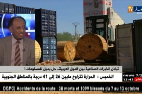 تبادل الخبرات الصناعية بين الدول العربية…حل بديل للمساومات !!