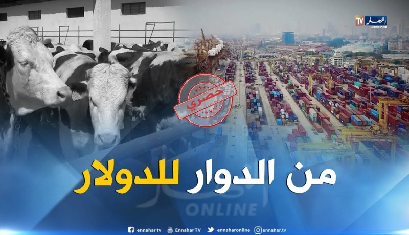 هذه هي أصول مهرب الكوكايين “البوشي”