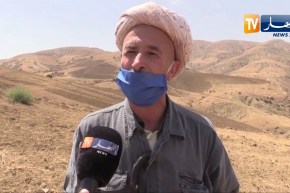 غليزان: فلاحو منطقة العمارية..  حنين لعودة خدمة أٍض الأجداد